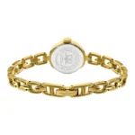 ⁦Rotary 1895⁩ - الصورة ⁦5⁩